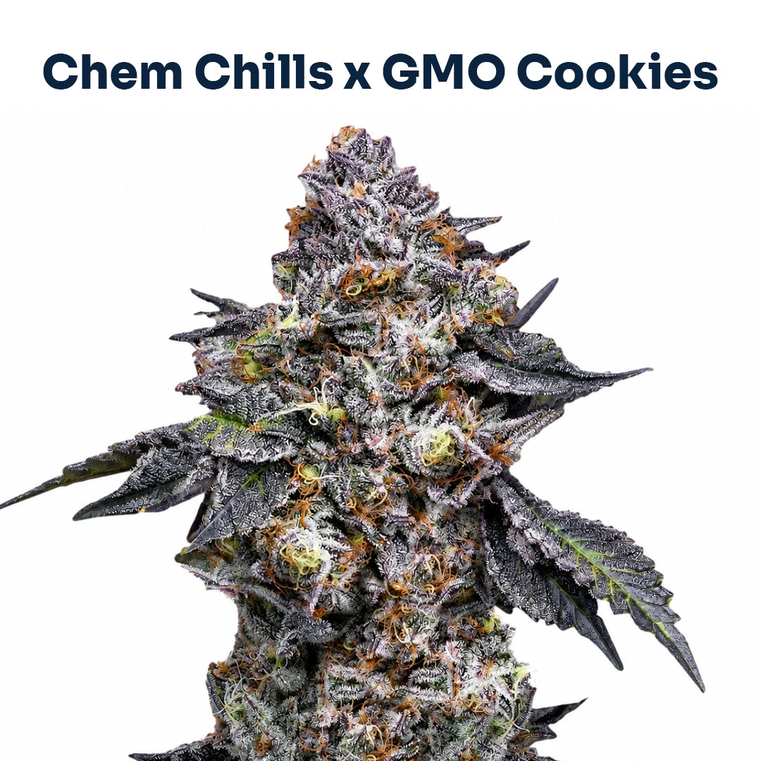 Dank Crevice