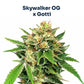 Florida Sky OG