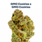 GMO Cookies S1