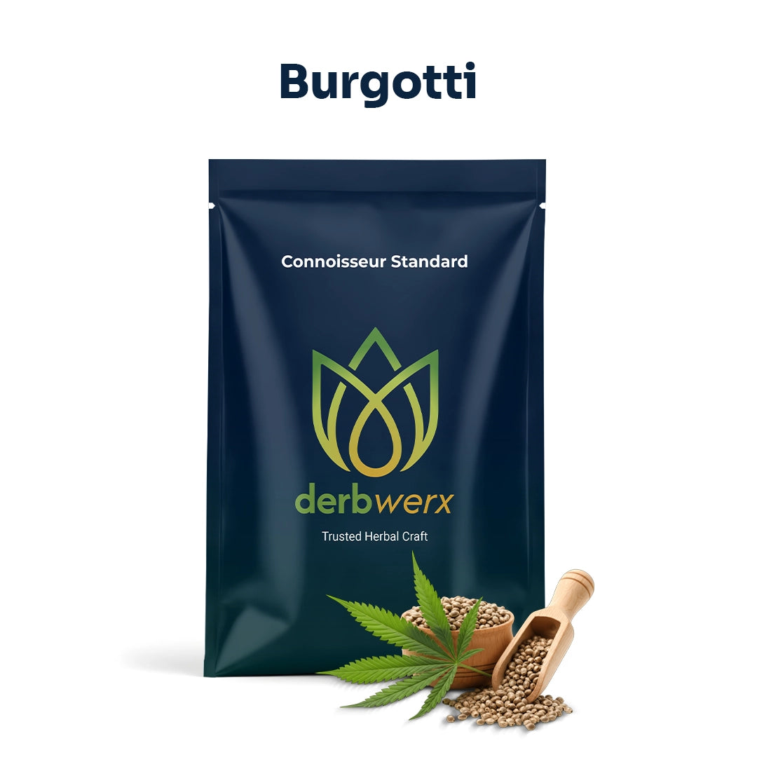 Burgotti